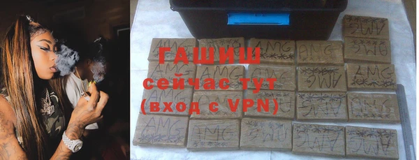 прущие грибы Белокуриха
