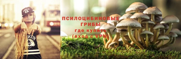 стаф Белоозёрский
