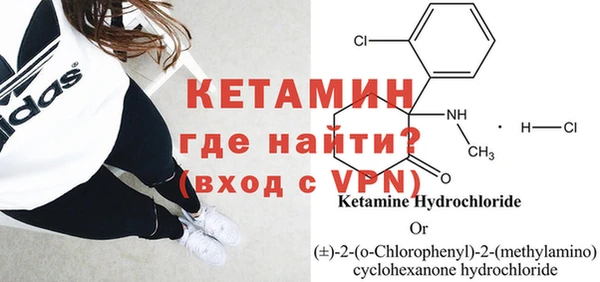 прущие грибы Белокуриха