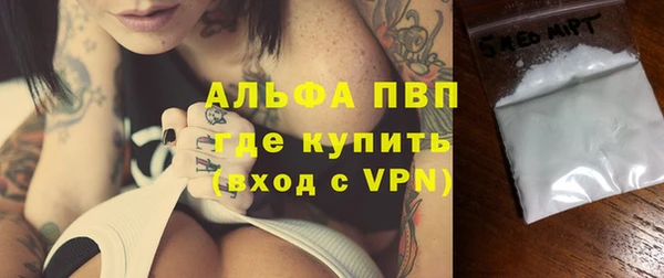 PSILOCYBIN Каменногорск