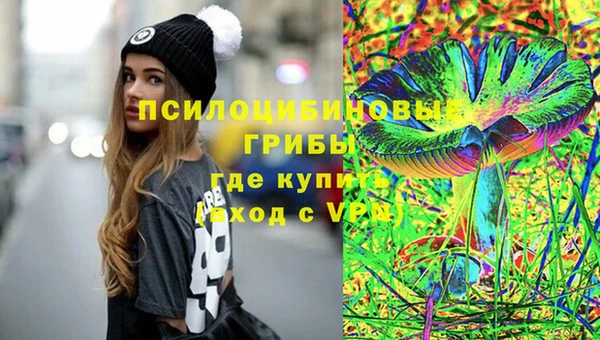 прущие грибы Заволжье