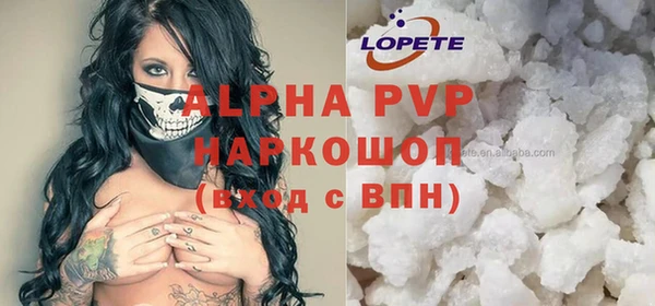 прущие грибы Белокуриха
