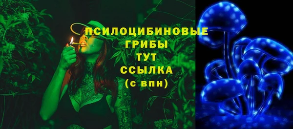 марки nbome Богданович