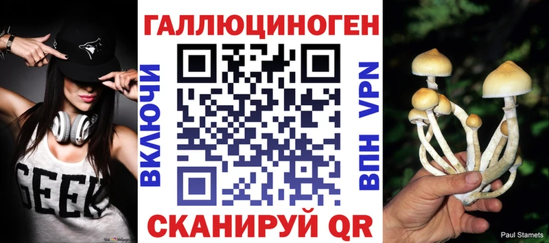 Галлюциногенные грибы Psilocybe  Бузулук 